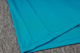 2024/25 PSG  Dark Green Training Jersey(A Set)