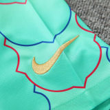 2024/25 BA Light Green Vest Training Jersey(A Set)
