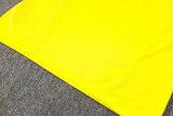 2024/25 Flamengo Yellow Training Tracksuit