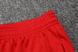 2024/25 Fluminense  Red Sweater Tracksuit