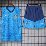 2024/25 Palmeiras Blue Vest Training Jersey(A Set)