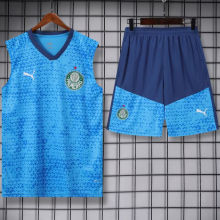 2024/25 Palmeiras Blue Vest Training Jersey(A Set)