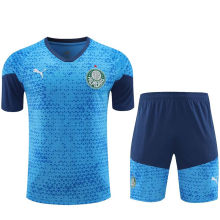2024/25 Palmeiras Blue Training Tracksuit