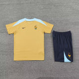 2024/25 France Khaki Training Tracksuit