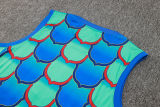2024/25 BA Green Vest Training Jersey(A Set)