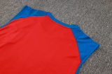 2024/25 Spain Red Vest Training Jersey(A Set)