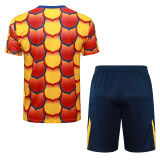 2024/25 BA Yellow  Training Tracksuit