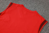 2024/25 Internacional Red Vest Training Jersey(A Set)
