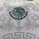 2024/25 Mexico Special Edition Player Version Jersey