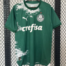 2024/25 Palmeiras Special Edition Green Fans Soccer Jersey