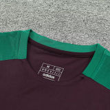 2025 Mexico Brown Vest Training Jersey(A Set)