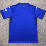 2024/25 Hoffenheim Home Blue Fans Soccer Jersey