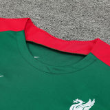 2025 Liv Green Vest Training Jersey(A Set)