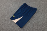 2025 BA Sapphire Blue Vest Training Jersey(A Set)
