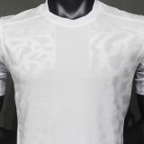 2024/25 PSG White Player Version Soccer Jersey （No Logo）  光板