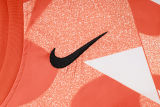 2025 In Milan  Vest Training Jersey(A Set)