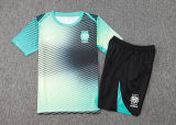 2025  South Korea Lake Blue Training Jersey(A Set)