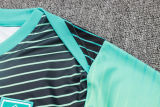 2025  South Korea Lake Blue Training Jersey(A Set)
