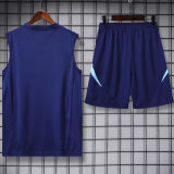 2025  ARS Sapphire Blue Vest Training Jersey(A Set)