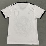 2024/25 Japan Special Edition Fans Jersey