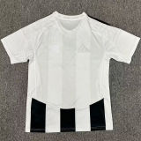 2024/25 Besiktas Third Fans Soccer Jersey