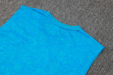 2024/25 Grêmio Blue Vest Training Jersey(A Set)