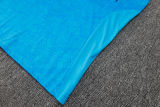 2024/25 Grêmio Blue Vest Training Jersey(A Set)