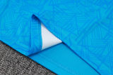 2024/25 Grêmio Blue Vest Training Jersey(A Set)