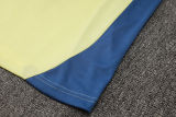 2025 AA Yellow Vest Training Jersey(A Set)
