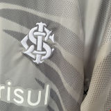 2024/25 Internacional Third Grey Fans Soccer Jersey