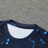 2025 CFC Sapphire Blue Vest Training Jersey(A Set)