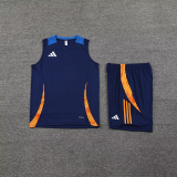 2025 AD~  Sapphire Blue Vest Training Jersey(A Set)