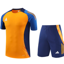 2025 AD~  Orange Training Jersey(A Set)