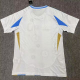 2025 Argentina Special Edition Fans Soccer Jersey