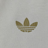 2024/25 Argentina White Hoody