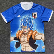 2024/25 Japan Special Edition Fans Jersey