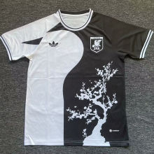 2024/25 Japan Special Edition Fans Jersey