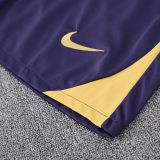 2025 BA Sapphire Blue Vest Training Jersey(A Set)