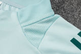 2025 Cruzeiro Light Green Sweater Tracksuit