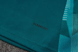 2025 Cruzeiro Green Sweater Tracksuit