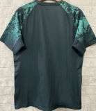 2025 The British & Irish Lions Rugby Shirt 红狮子