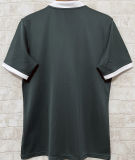 2025 The British & Irish Lions Rugby Shirt 红狮子