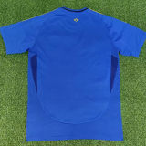 2025 Brazil Special Edition Fans Soccer Jersey