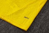 2025/26 BVB  Yellow Vest Training Jersey(A Set)