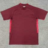 2025/26 Lanús Home Fans Soccer Jersey   拉努斯