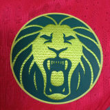 2025/26 Cameroon Away Red Player Version Soccer Jersey