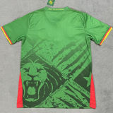 2025/26 Cameroon Home Green Fans Soccer Jersey
