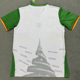 2025/26 Cameroon Third White Fans Soccer Jersey