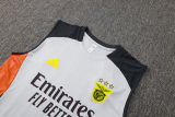 2025/26  Benfica Grey Vest Training Jersey(A Set)