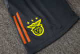 2025/26  Benfica Grey Vest Training Jersey(A Set)